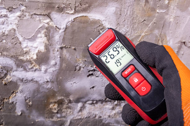 Best Basement Mold Remediation in Tignall, GA